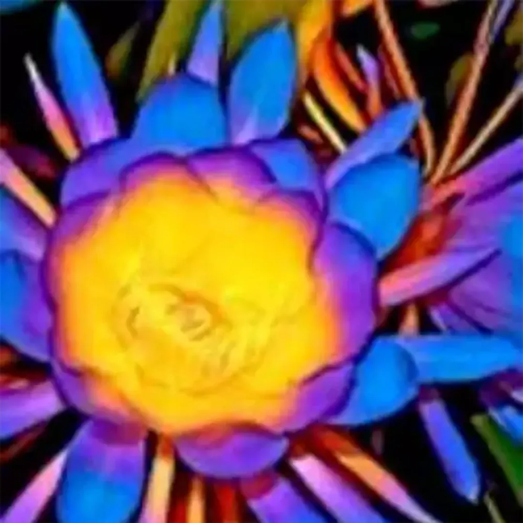 bramha-kamal-purple-1