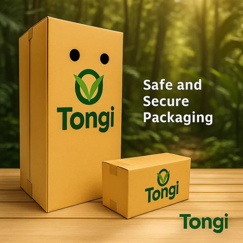 Michelia champaca Simhachalam / Soan chapha - Image 6